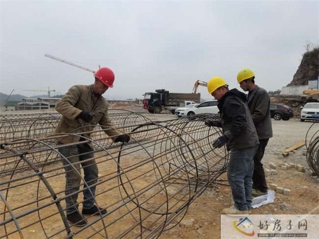 三区一基地 | 新蒲新区：吹响项目开工建设“集结号”            </h1>(图1)