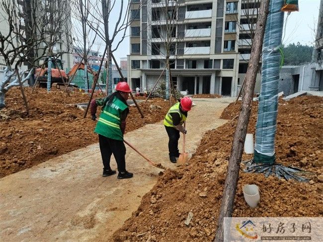 三区一基地 | 新蒲新区：吹响项目开工建设“集结号”            </h1>(图4)